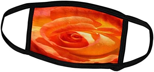 3dRose Ив Creations Roses - Очите orange рози - Обложки за лице (fc_36809_3)