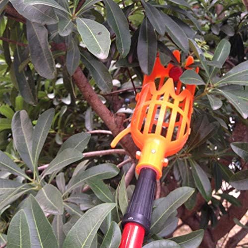 Cabilock Събиране на Портокали Инструмент за събиране на плодове Ножное Оборудване за събиране на плодове, с Кошница