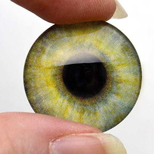 Реалистични Човешки Стъклени очи 5 Двойки Кабошонов в комплект за бижута или Diy 5 Двойки на Едро (10 мм)