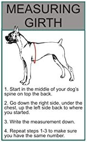 НЕ ПОГЛАЖИВАЙТЕ куче Елек-шлейкой с подвижни ивици и светоотражающей тапицерия. Идва с 2 светлоотразителни подвижни ивици НЕ ЖЕЛЯЗО. Моля, измерете обиколката на К?