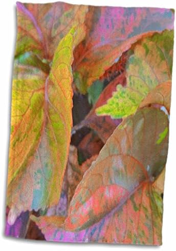 Триизмерно растение Florene Макро Plant - Natures Twist Of Color II - Кърпи (twl-25317-1)