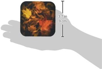 3dRose CST_110777_1 Есенни листа на горска постеля-Меки подложки, комплект от 4