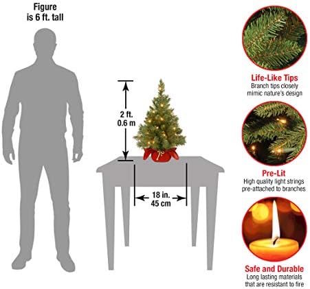 Предварително зажженная на Изкуствена Мини-Коледна елха Tree National Company | Включва Малки гирлянди и Плат поставка