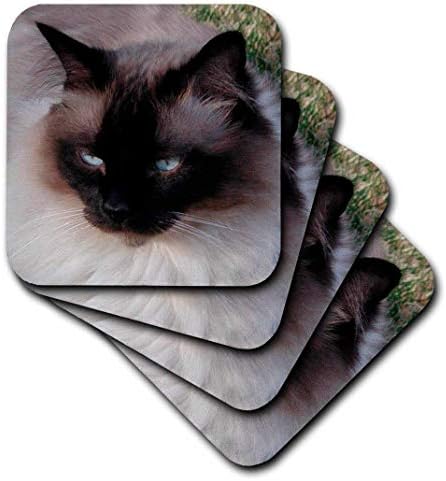 3dRose CST_1220_2 Меки подложки за сиамски котки, Комплект от 8
