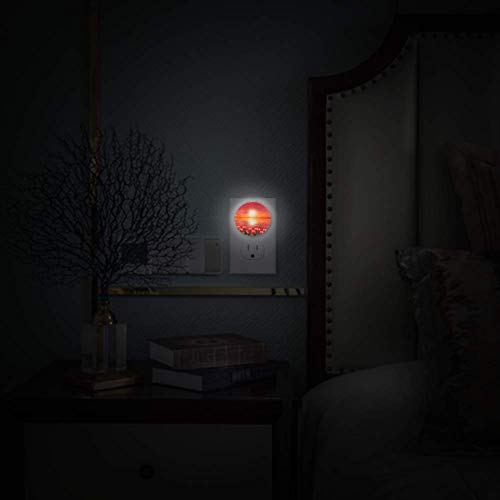 Малка нощна светлина с розетка във вид на Червено цвете Лале Sunset Night Light на стената с датчик от здрач до зори