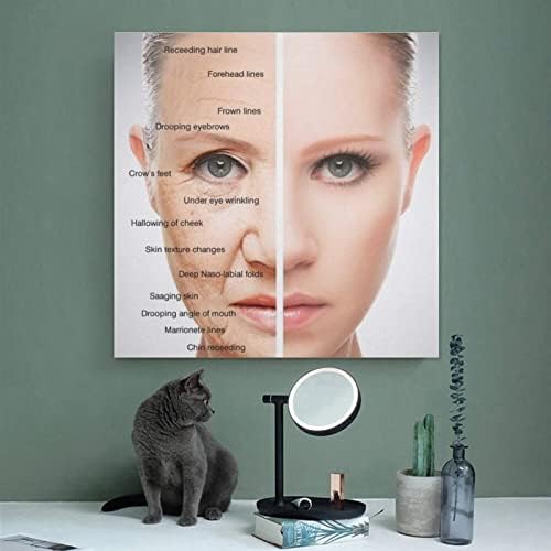 Плакат на Салон за Красота продукти за Грижа за Стареенето на кожата на Лицето, Медицински Плакат на Салон за Красота,