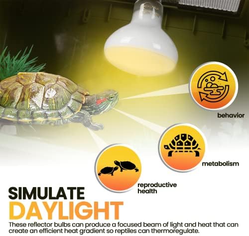 CALPALMY 4 комплект лампи за отопление на костенурки мощност 100 W - Греющиеся лампи за влечуги и Земноводни - Рефлекторни