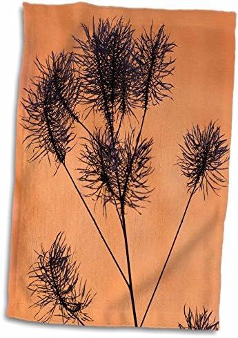 3дРоуз, Юта. САЩ, Силует семена глави на фона на скали от пясъчник. - Кърпи (twl-191928-3)