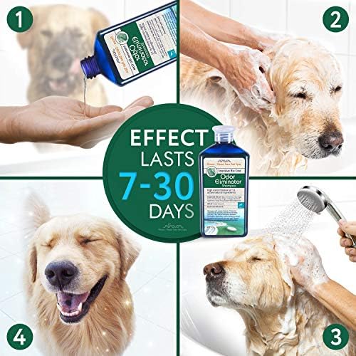Arava Dog Shampoo за мръсни кучета - Дезодорирующий шампоан за кучета - Шампоан за домашни любимци - куче Шампоан - Шампоан