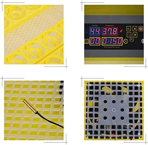 ALREMO 103234536 Инкубатор за Инкубация на яйцата с Контролирана температура Автоматична Инкубационная Машина за Превръщането
