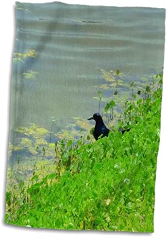 Кърпи 3dRose Florene Birds - Наблюдение на птици (twl-7818-1)