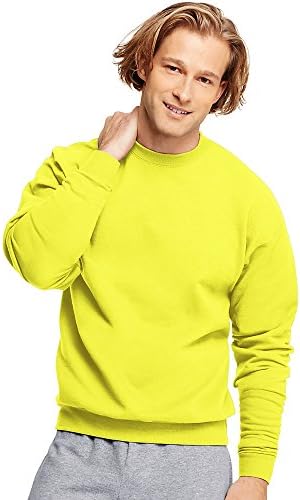 Мъжки hoody Hanes EcoSmart с качулка