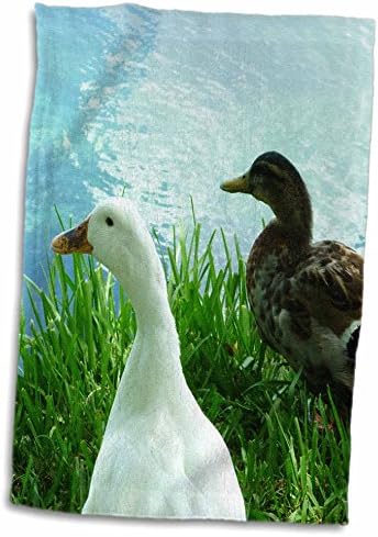 Кърпи 3dRose Florene Ducks - Двойка патици - утятниц (twl-23956-1)