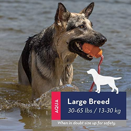КОНГ - Aqua - Плаващ играчка за игра във Вода - за по-Големи Кучета