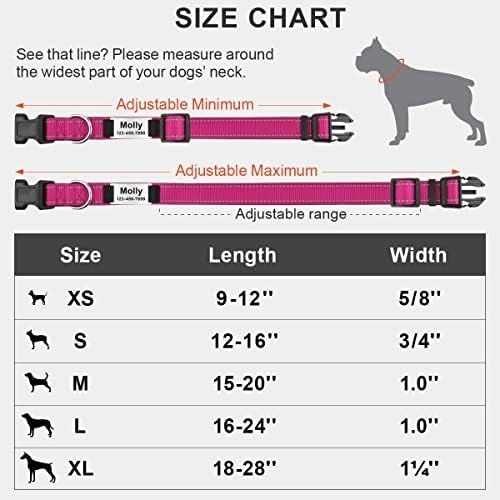Персонални Яки Taglory за кучета със средни размери, Изработени по поръчка Отразяваща Нашийник за кучета с имената на