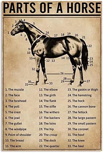 Кон Познаване На Метална Лидице Табела Част На Коня Ретро Постер На Кафе Ферма, Хол Баня Кухня Домашно Изкуството На Украса На Стената Плака Подарък
