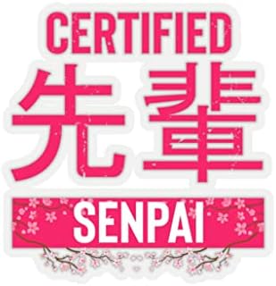 20 грама Изолирано Бутилка Хумористичен Сертифициран Преподавател на Японската Манга Senpai Менторство Весел Инструктор