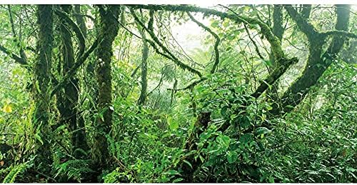 AWERT 24x12 инчов Винил Фон За Горски Терариум Фон За Аквариум с Тропически гори Мъгливите Зелени Растения Слънчеви Дървета