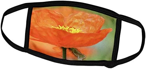 3dRose PS Flowers - Красиви Оранжеви цветя Исландски Мак - Пролетни маски за лице (fm_52822_1)